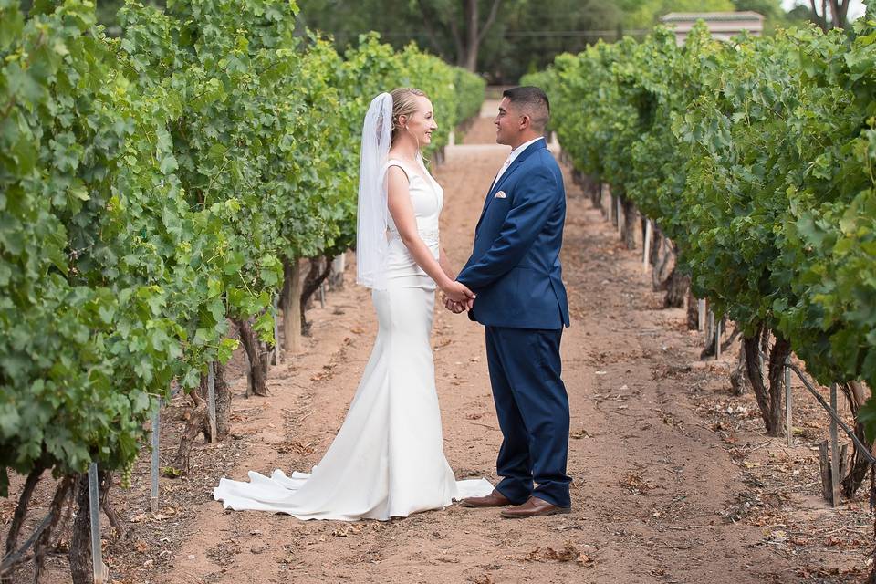 Vineyard Wedding