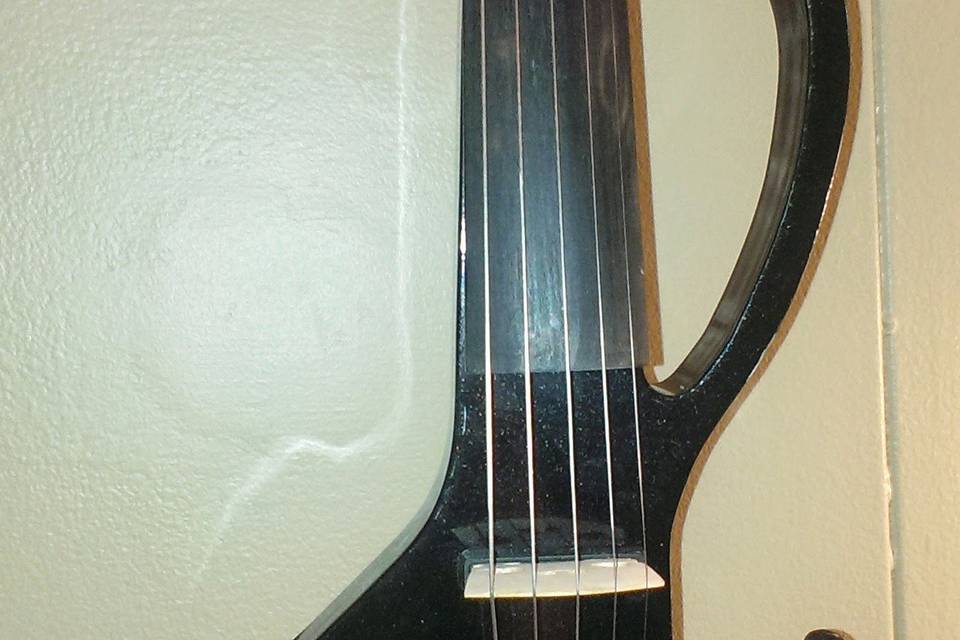 1stviolintunes' 5 string violin