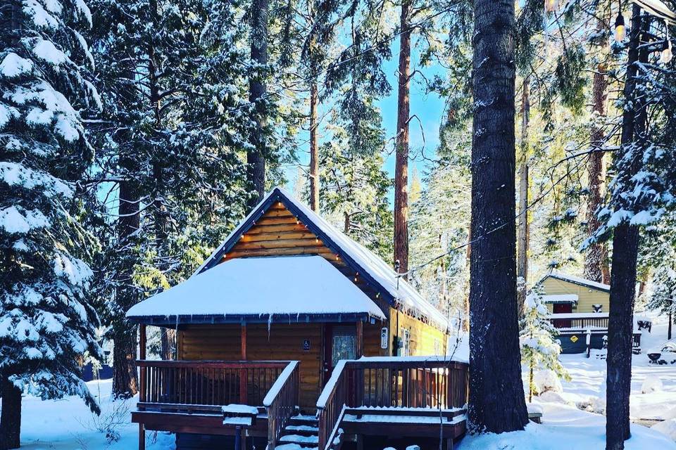 Cabin in the snow