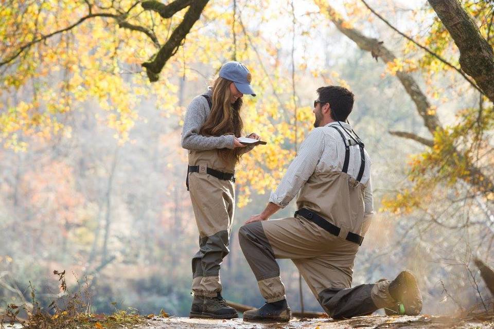 Proposal - Darrough Photography