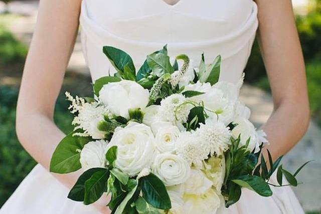 Bridal portrait