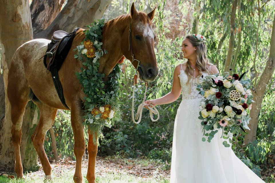 Shea's  Dream Wedding