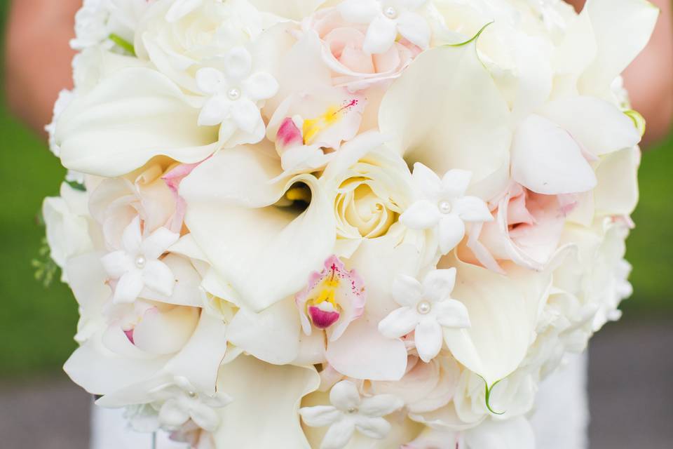 Pink and white flowers