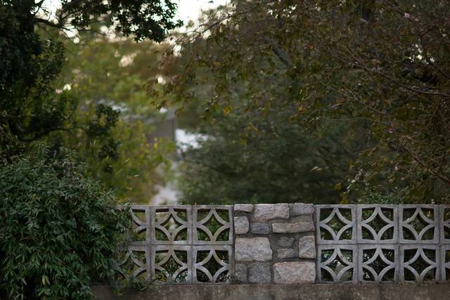Beth Hamilton Photography