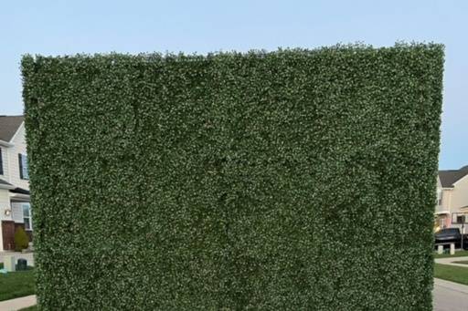 8x8 Hedge Backdrop