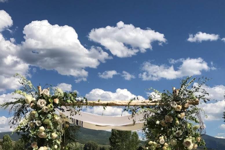 Birch Chuppah