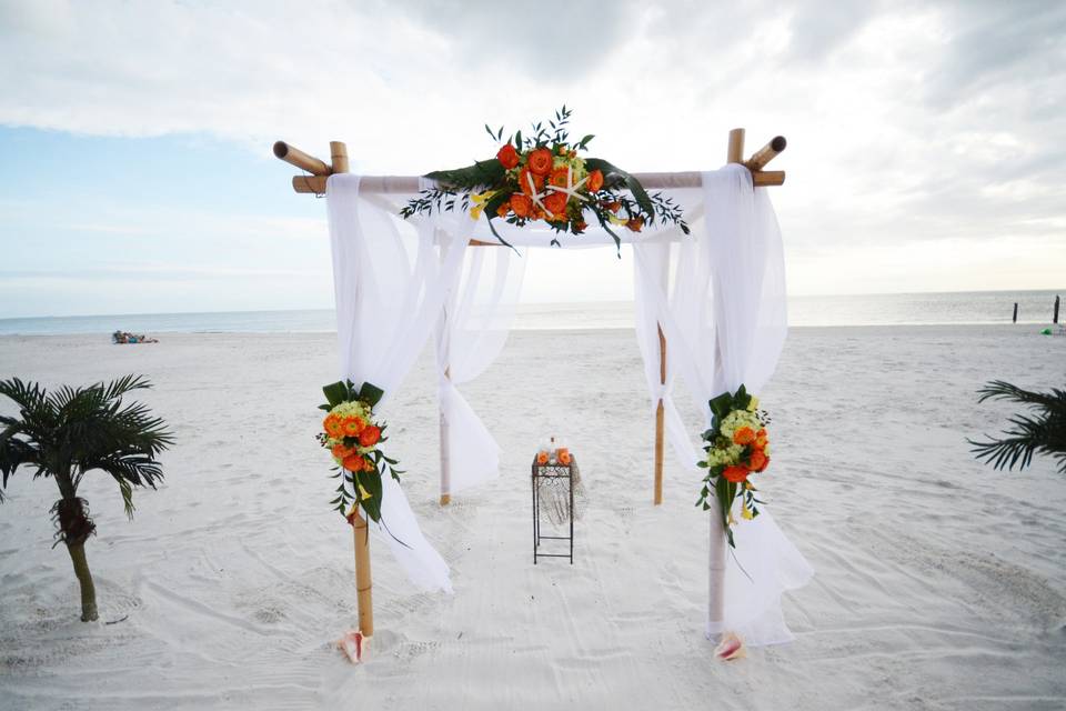 Platinum florida wedding company