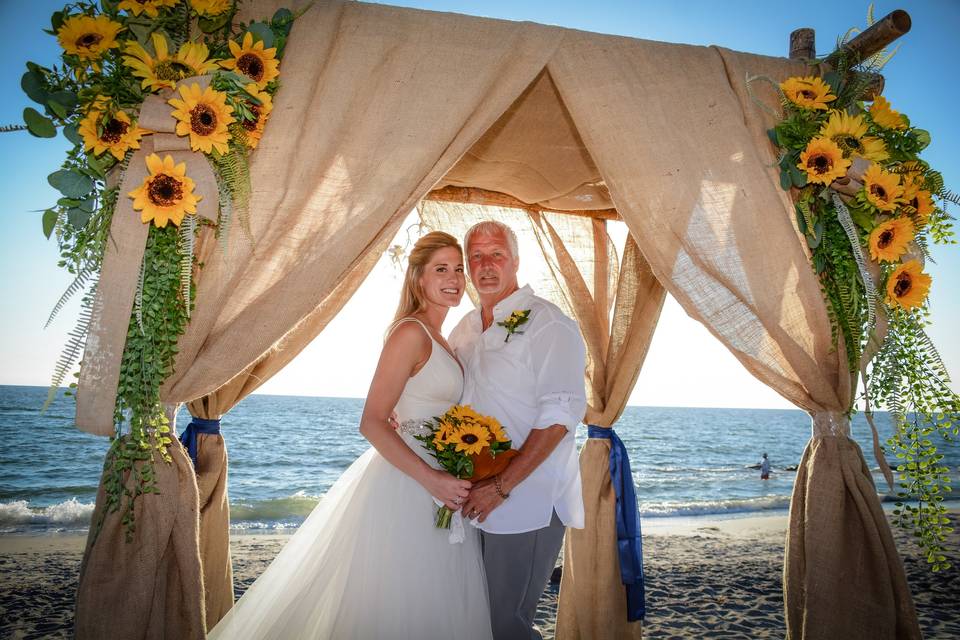 Rustic beach sunflower