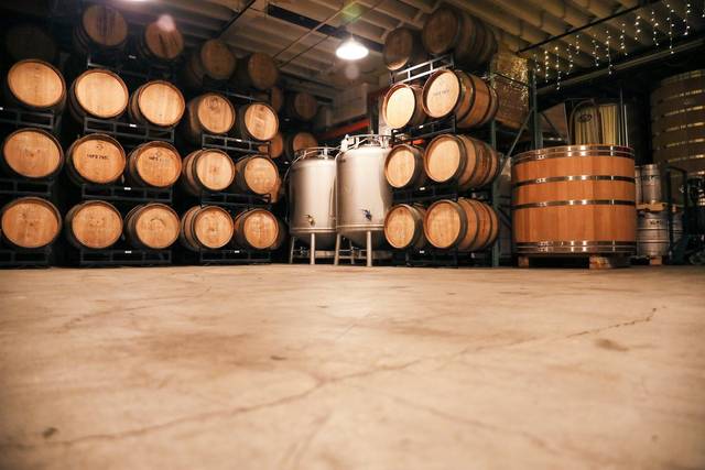 The Cellar