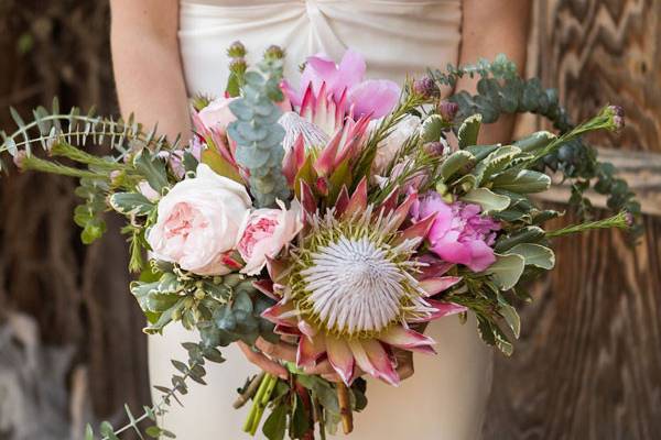 Big Sur Flowers