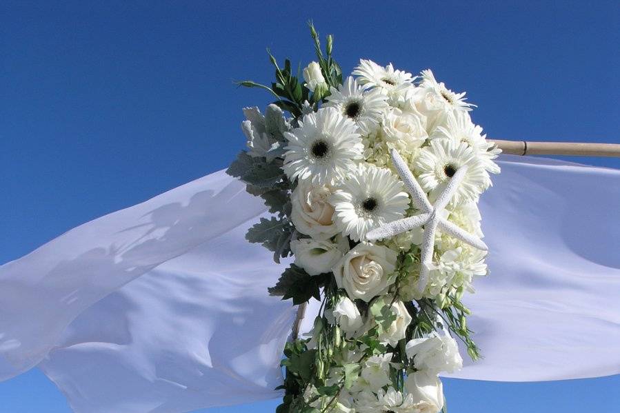 A sea-side beach canopy with white gerberas, roses hydrangea and lisisanthus with a white starfish in the center. The wind swept chiffon covers the top of this simple bamboo canopy.