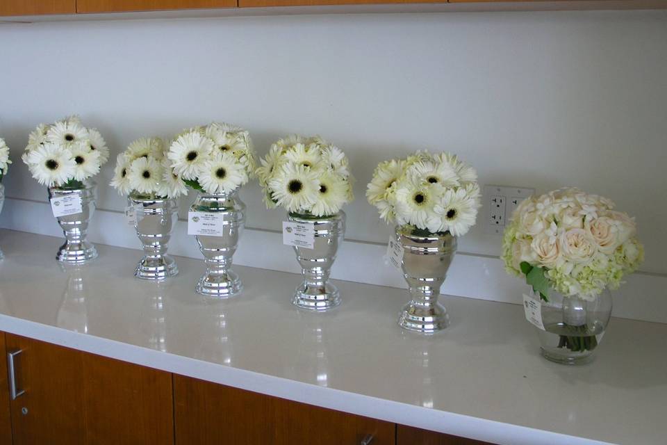 White gerberas with black centers was what this bride desired for her black & white themed beach wedding.  Her bouquet is an elegant white roses & stephanotis nosegay.