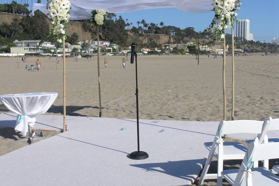 A full view of the simple but elegant beach canopy.  Adorned with hydrangeas, roses, white gerbers with black centers, lisisanthus and ivy.