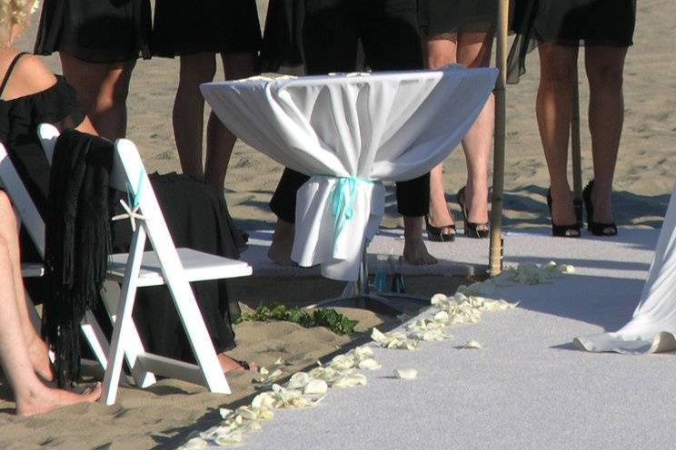 A black and white beach wedding with the bridesmaids carrying white gerbera daisies with black eyes.