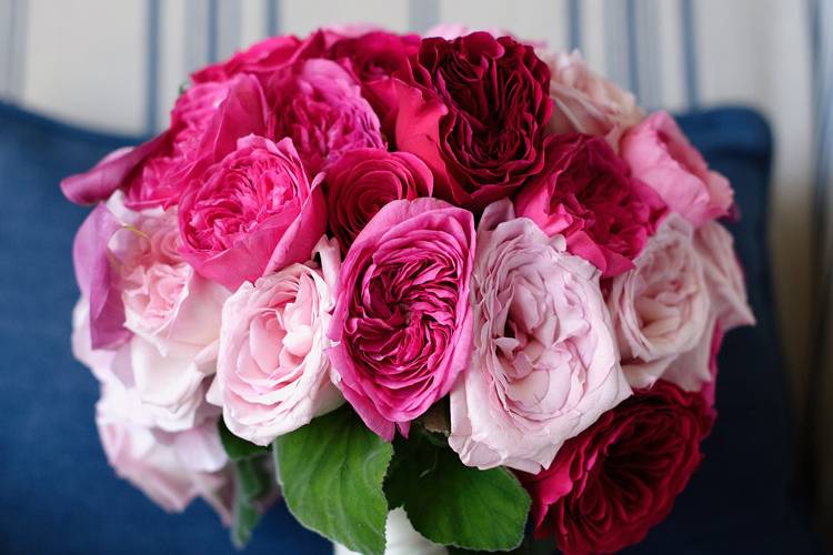 A romantic bridal bouquet of garden roses in rich hot pinks and softer blush roses.