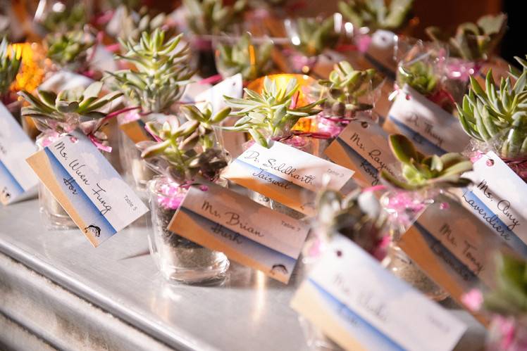 Favors personalize for everyone that attended the wedding.  Succulents planted in small glass containers accented with hot pink rocks.