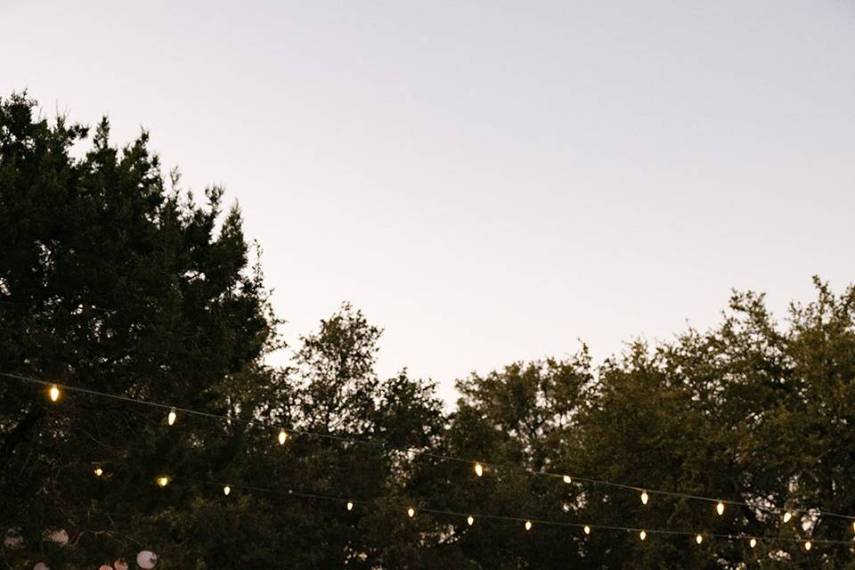 Horseshoe Meadow reception