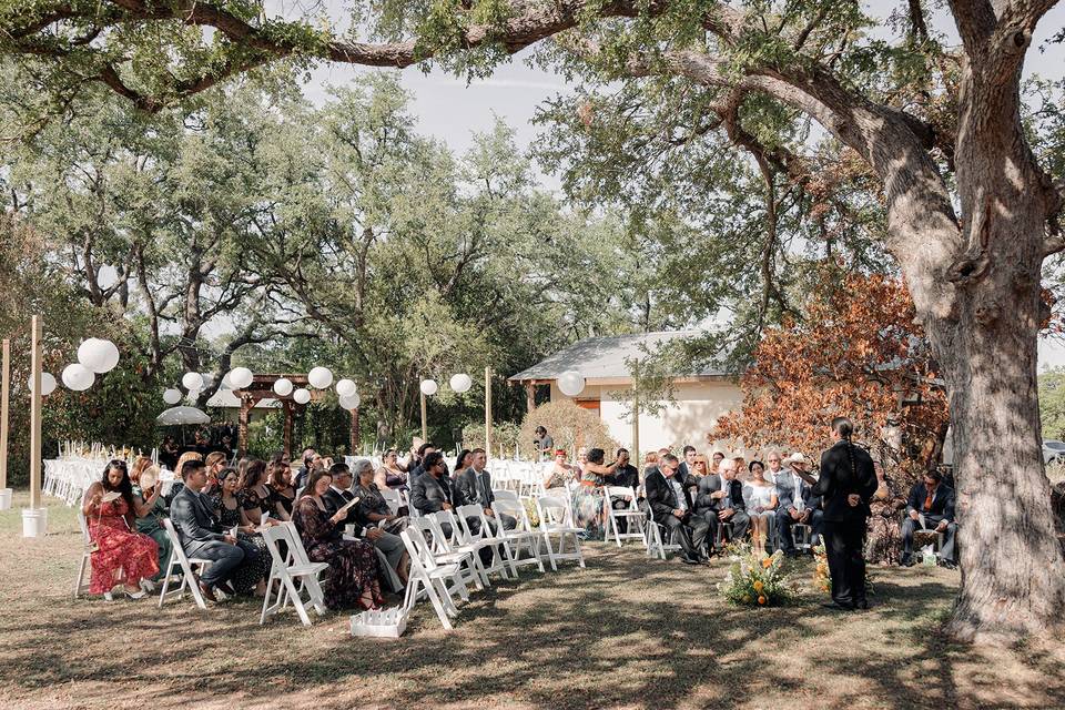 Wedding ceremony in promenade