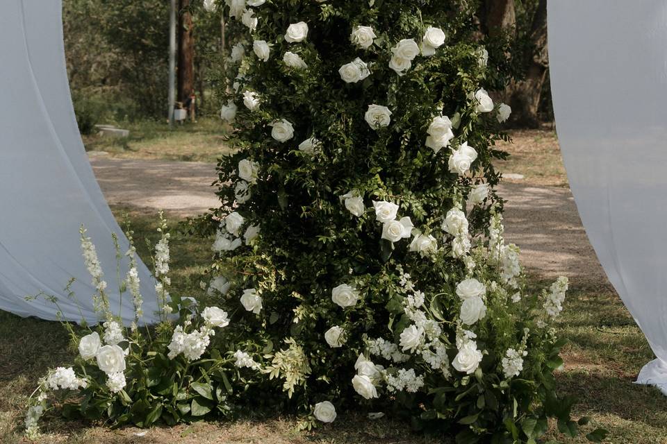 Ceremony at the Big Tree