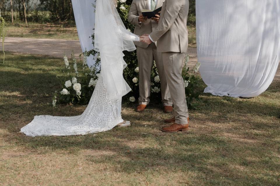 Ceremony at the Big Tree