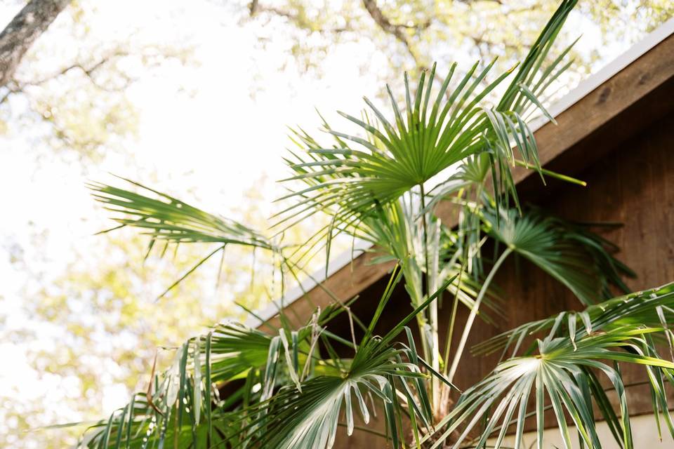 Natural landscaping
