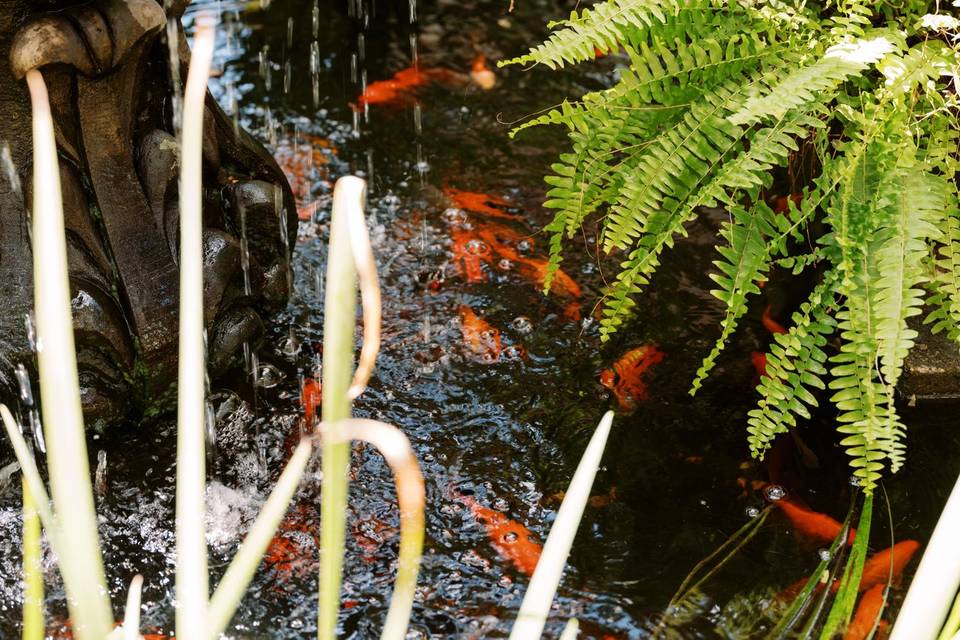 Lush vegetation