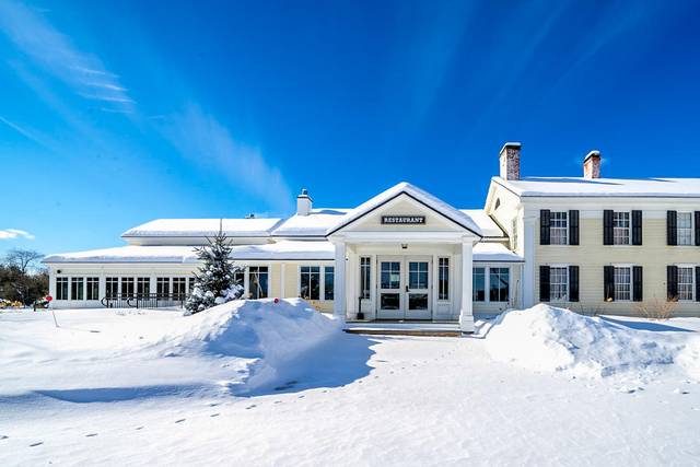 Winter wonderland