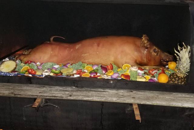 Looking for a pig roast?