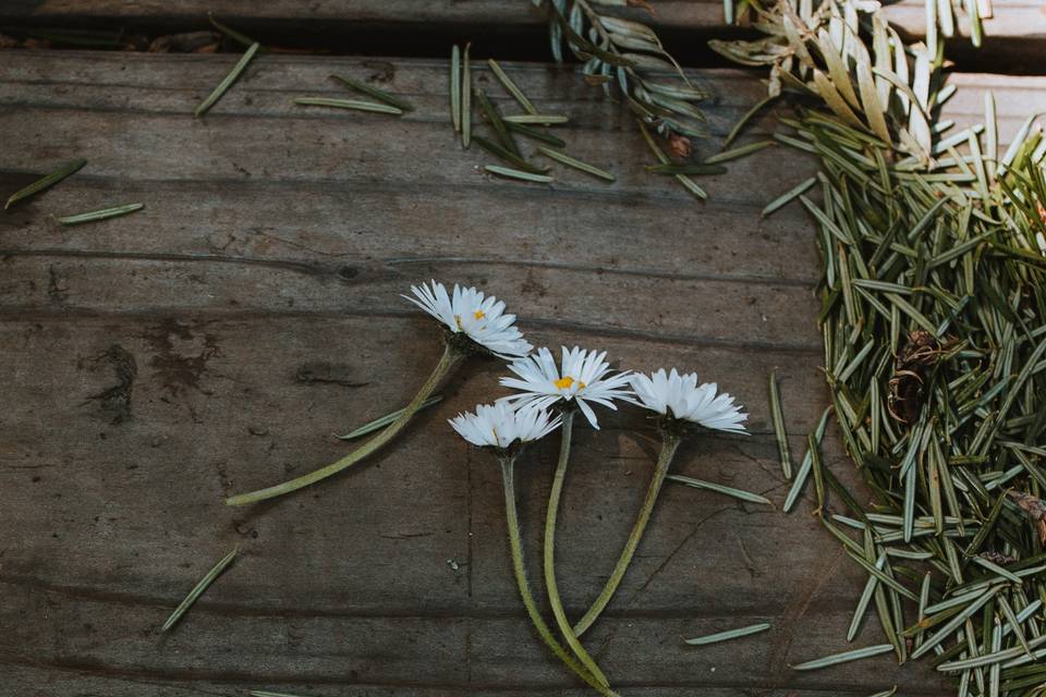 Engagement Session