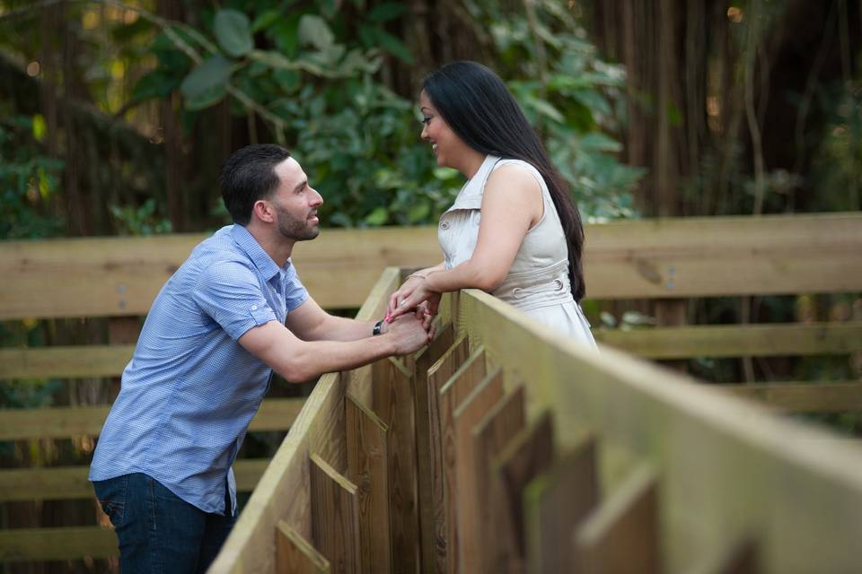 Engagement Photos.