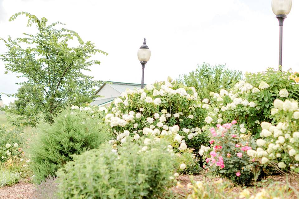 Venue Grounds