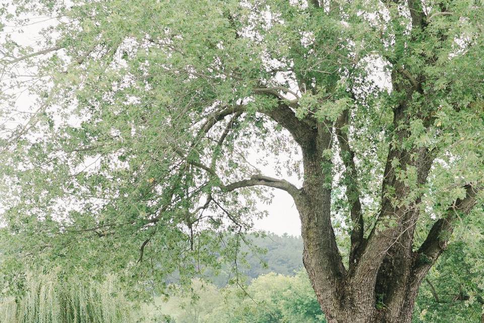 A Manor Wedding