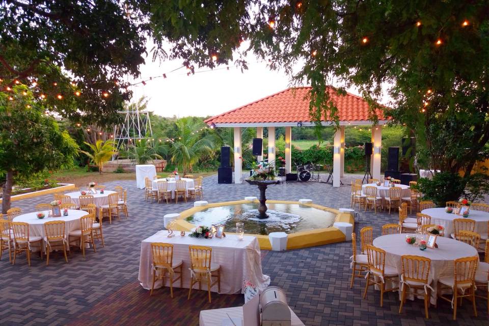 Outdoor Reception