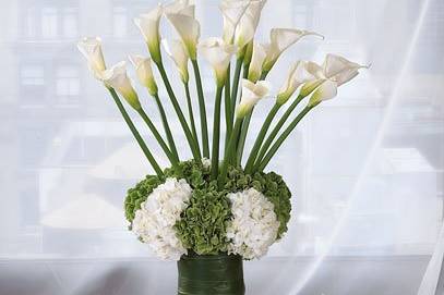 Henry's Florist Floral Decorators