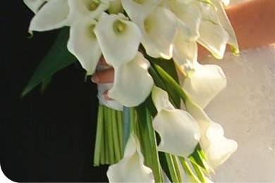 Henry's Florist Floral Decorators