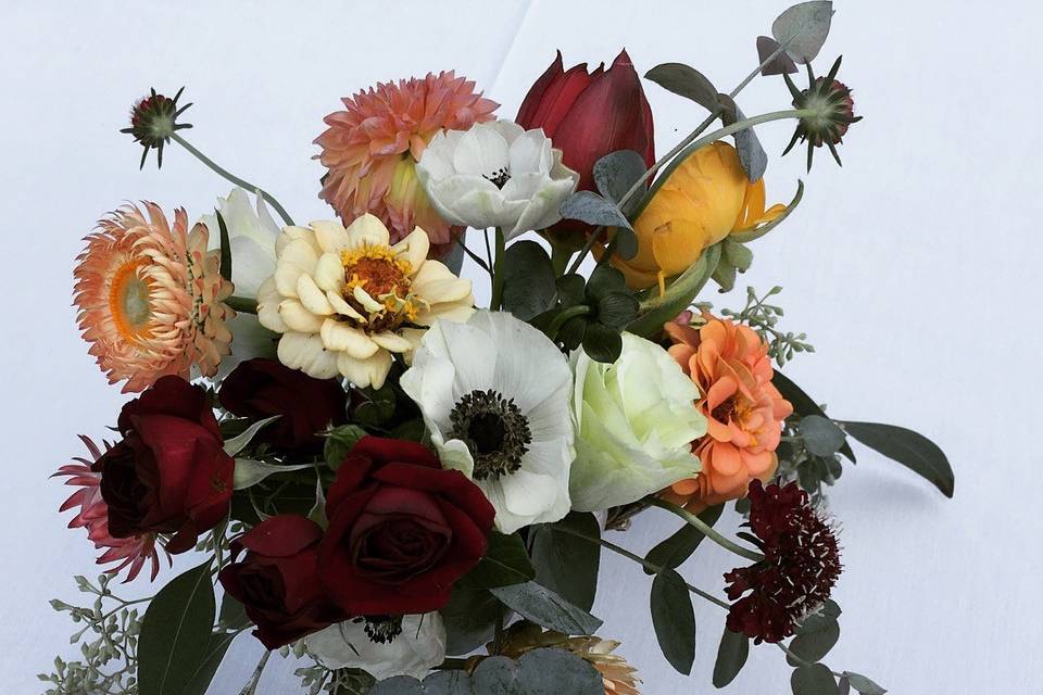 Botaniq Blooms