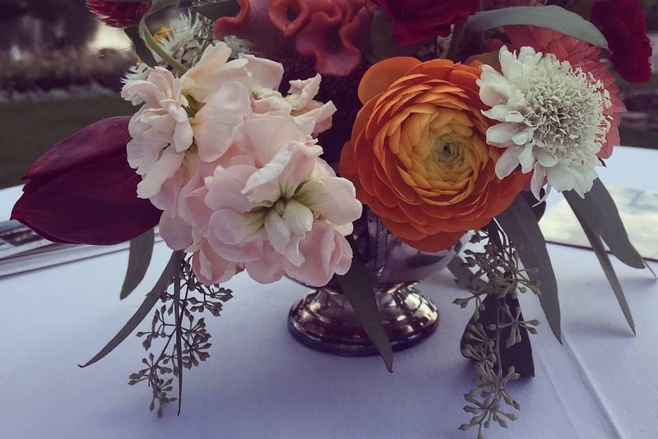 Botaniq Blooms