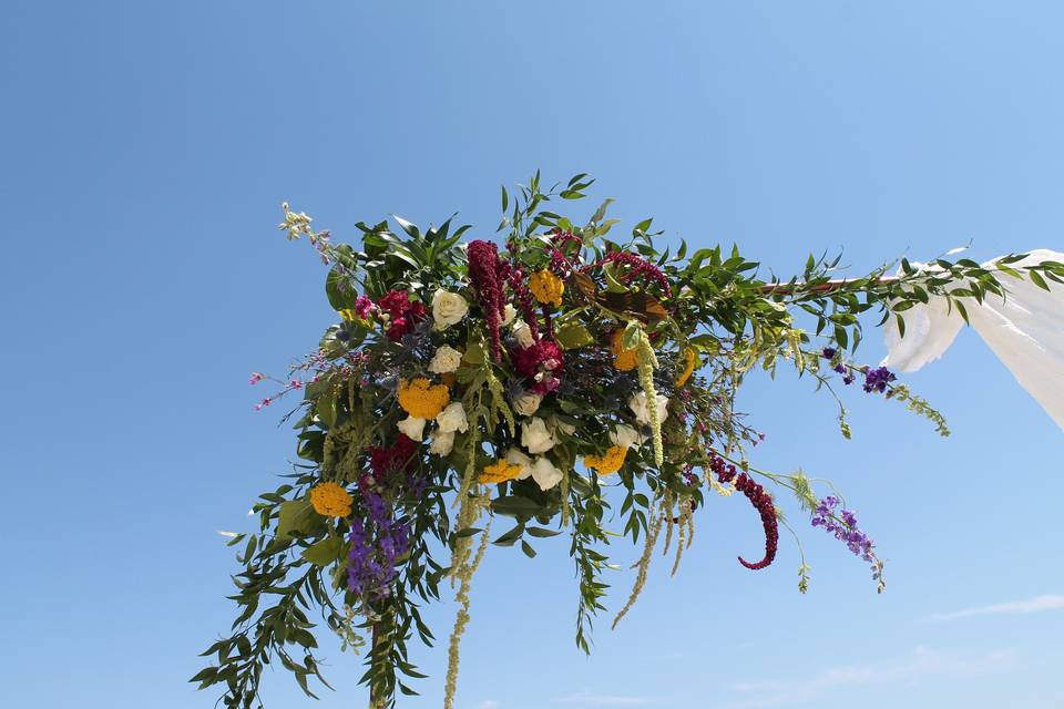 Botaniq Blooms