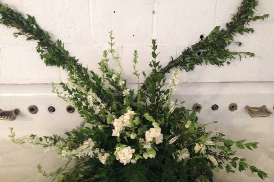 Botaniq Blooms