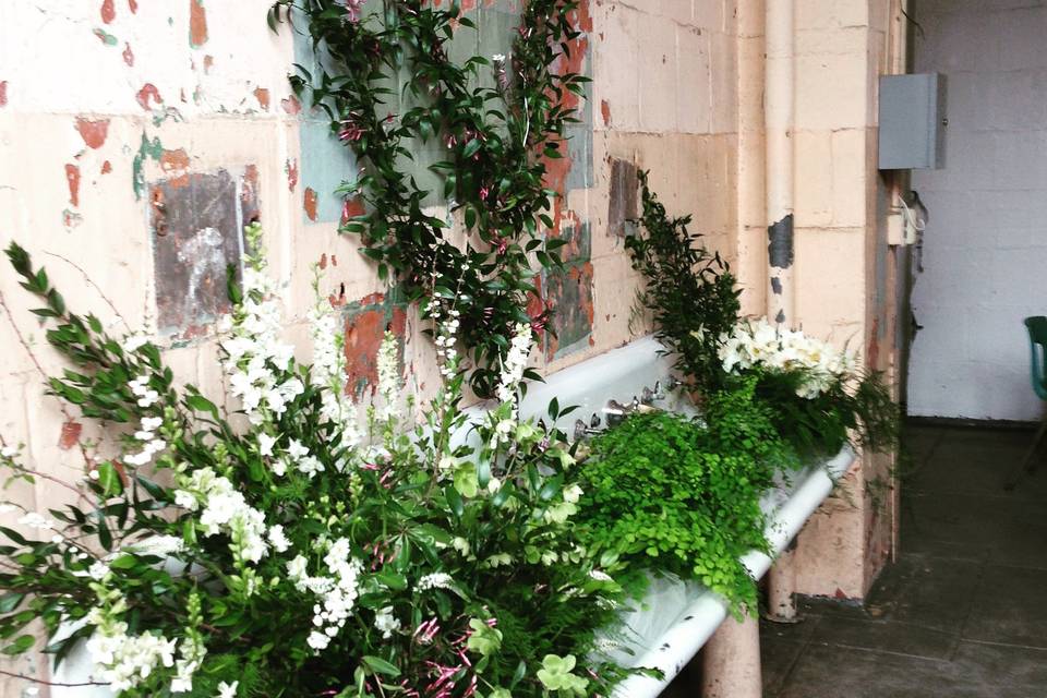 Botaniq Blooms