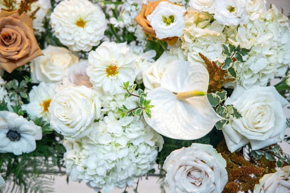 Tan, blush and white