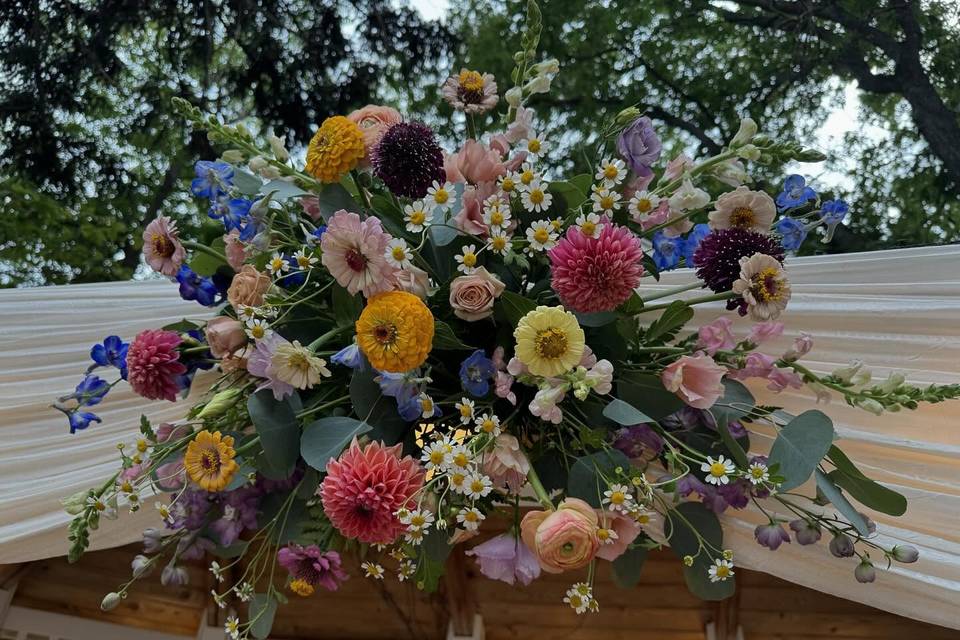 Wildflowers