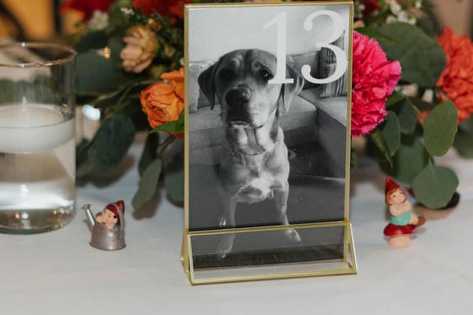 Centerpiece