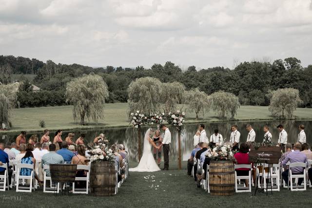 Wind in the Willows
