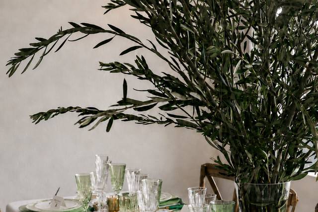 Olive Tree Vineyard Table