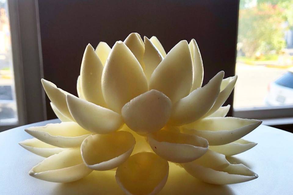 White Chocolate Lotus Flower