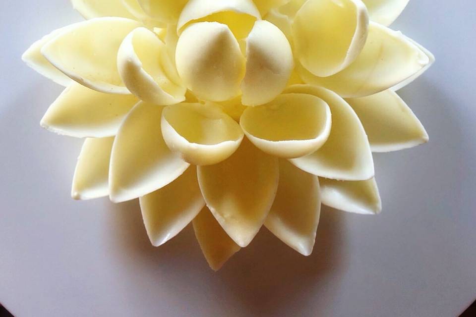White Chocolate Lotus Flower
