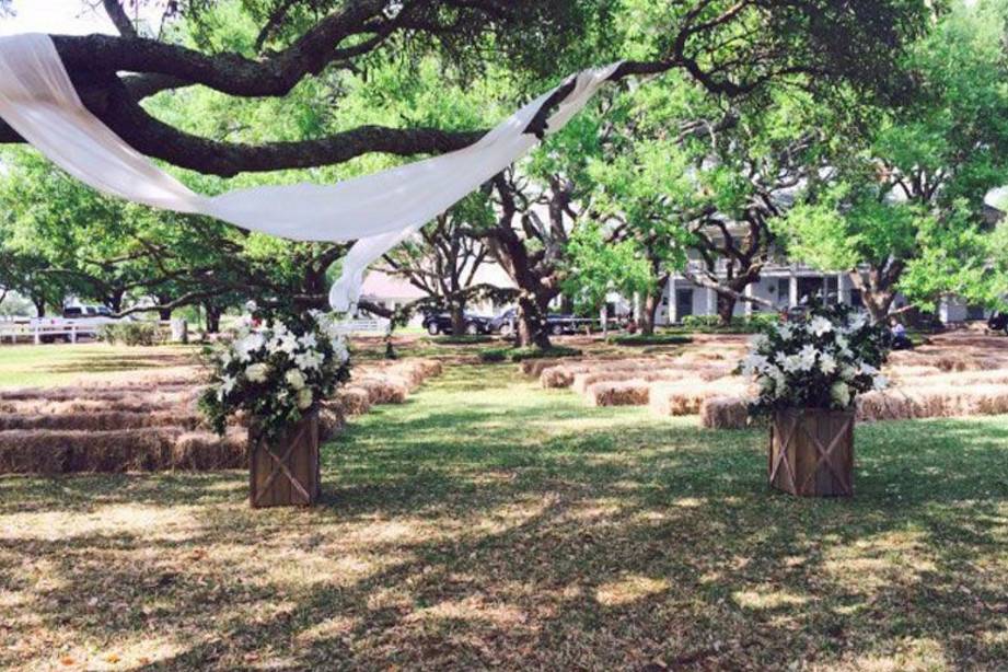 Here's a country wedding waiting to happen on the Live Oak lawn.