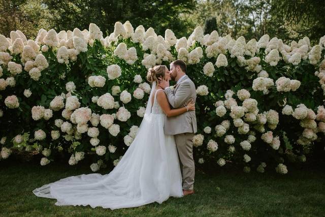 Hydrangea wall