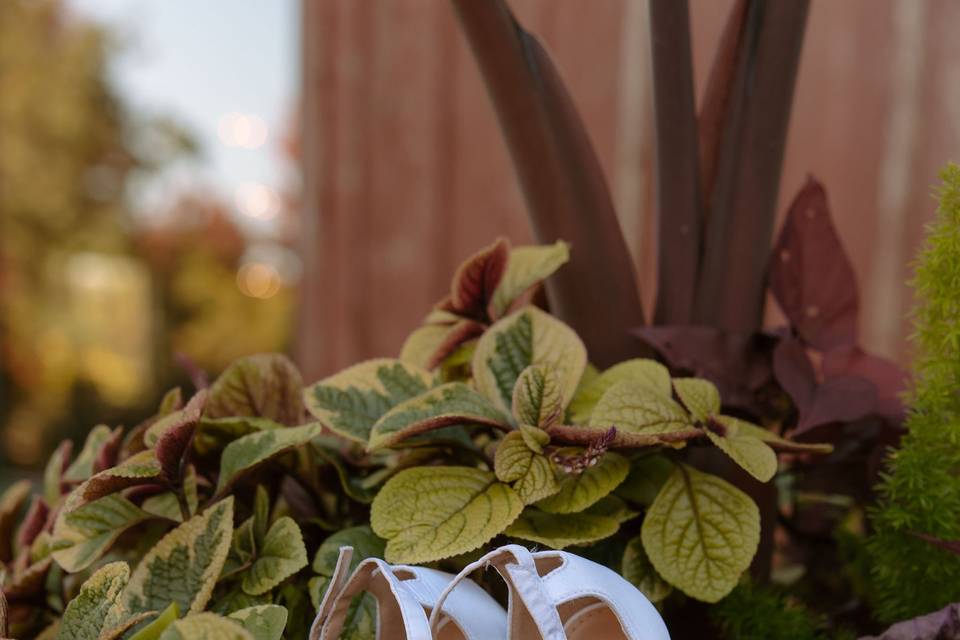 Planter shot